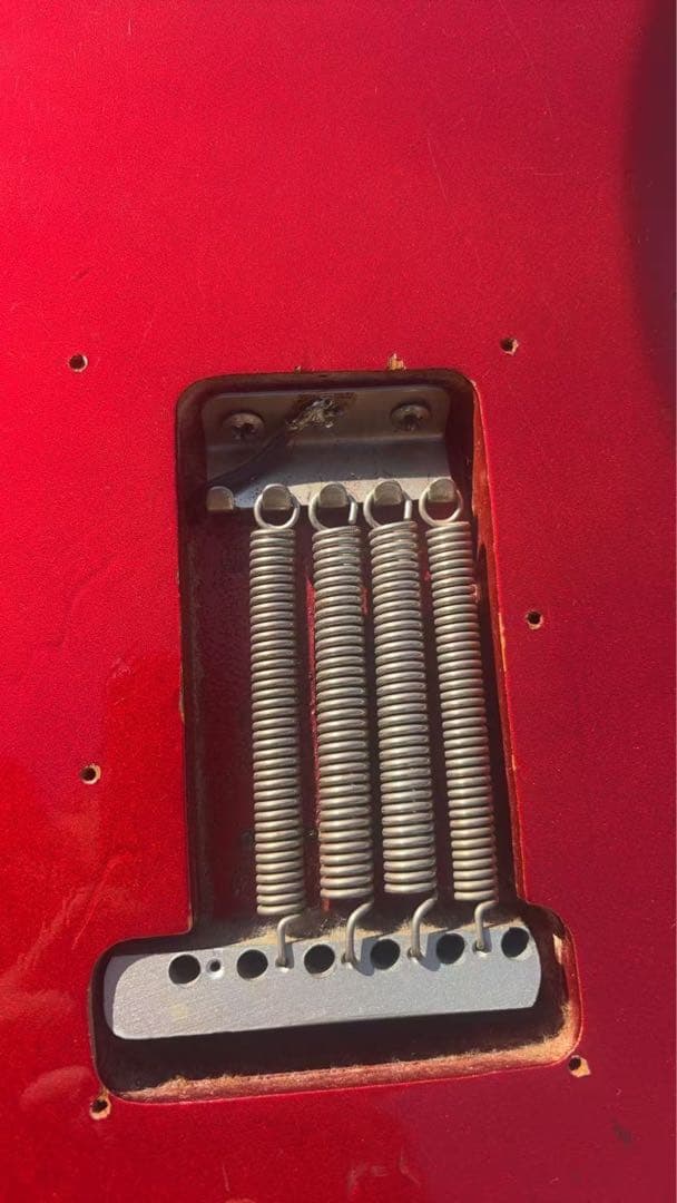 FERNANDES ギター