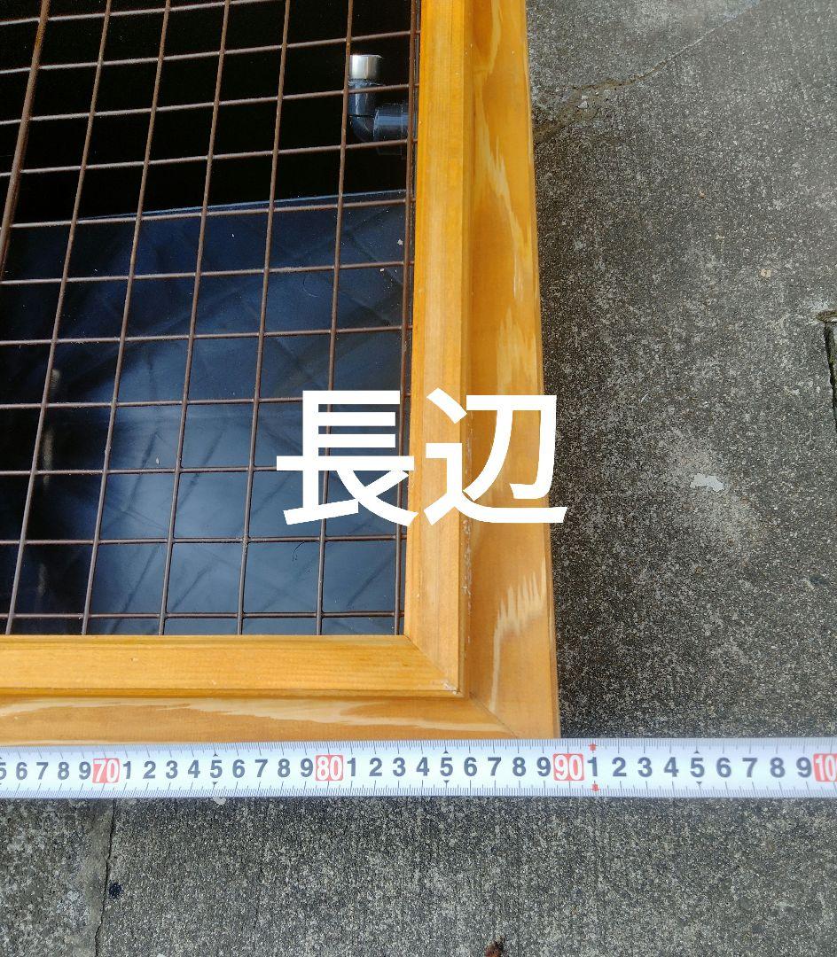 ちまき