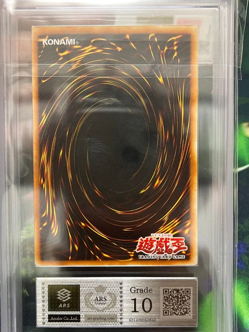 レポロポ