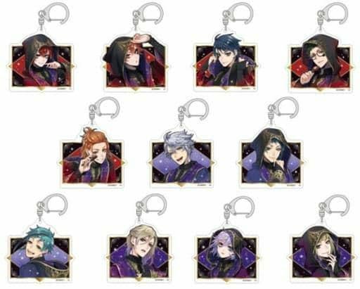 ツイステ リドル エース アズール ヴィル アクキー11種セット 式典服 新品