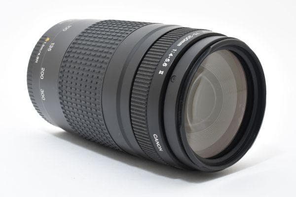 ★美品★キヤノン EF 75-300mm F4-5.6 Ⅱ #635