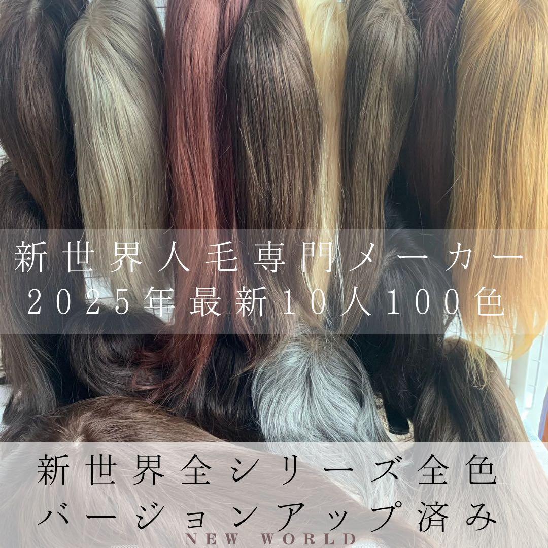 2025新世界　人毛100%　ウィッグ　フルウィッグ　ブラック　医療ウィッグ