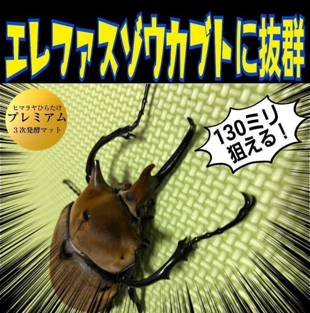 外国産カブトムシ幼虫が大きくなります！プレミアム3次発酵マット(60リットル)