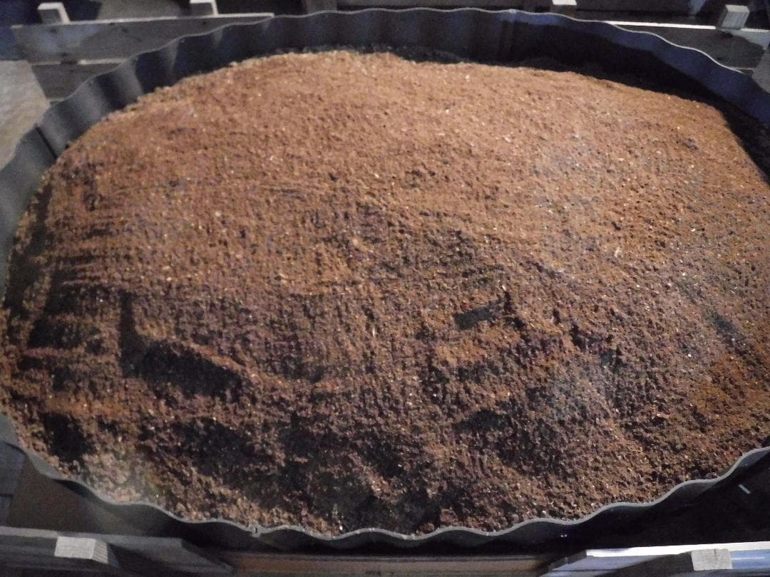 カブト虫マット1：発酵熟成竹：成虫・幼虫・産卵育成用：３００ℓ