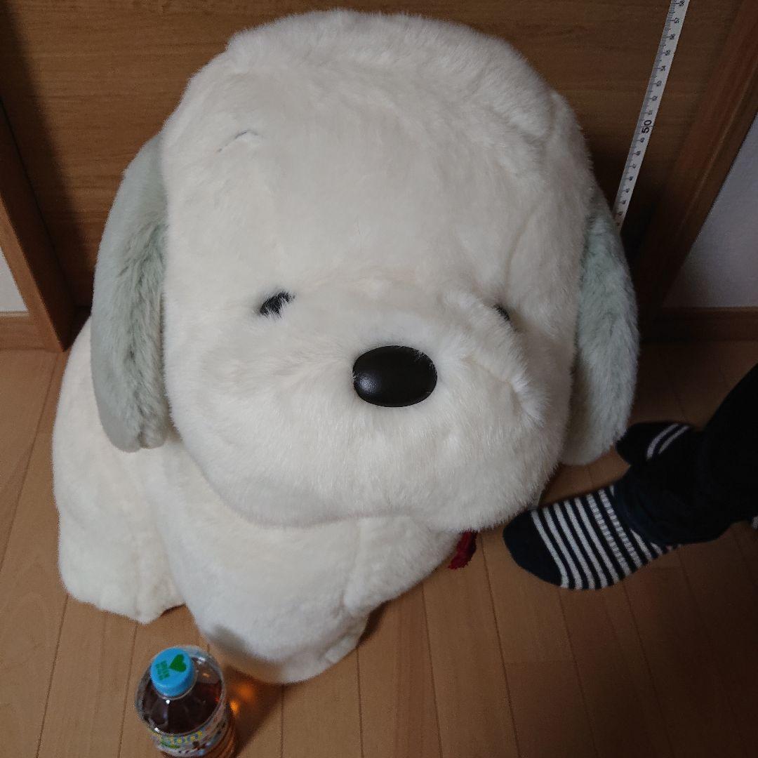 うめ吉 約58cm