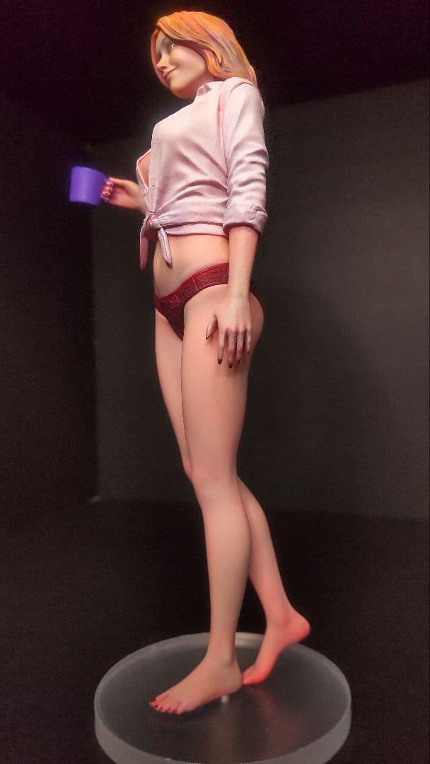 ハセガワ 1/12 リアルフィギュアコレクション 塗装済み完成品 ガレージキット