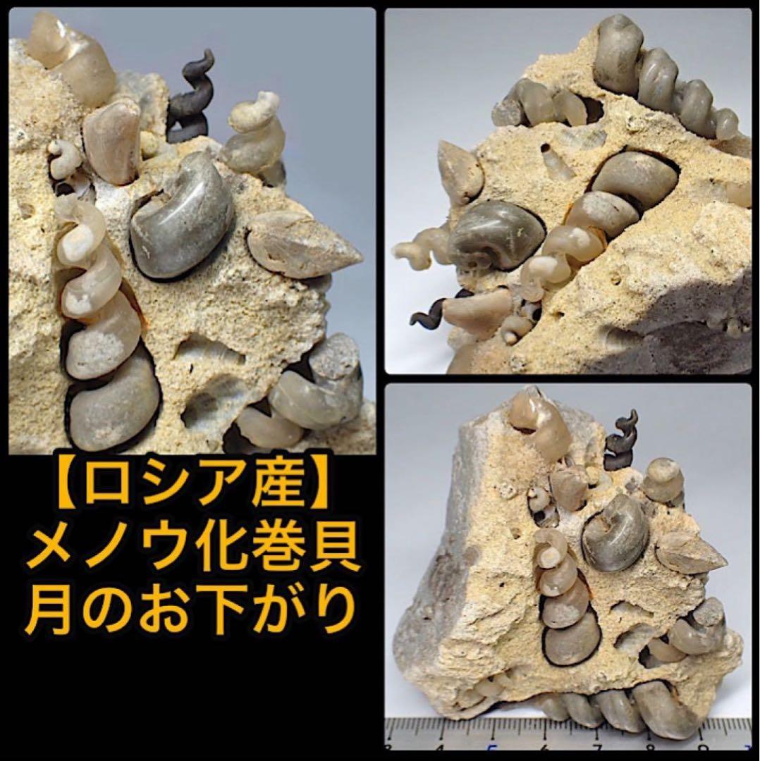 【m盆様】おまとめページ^o^