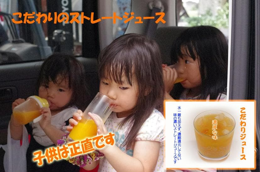 特売！濃縮還元してない・みかんジュース1000ｍｌ×12本　濃厚美味！