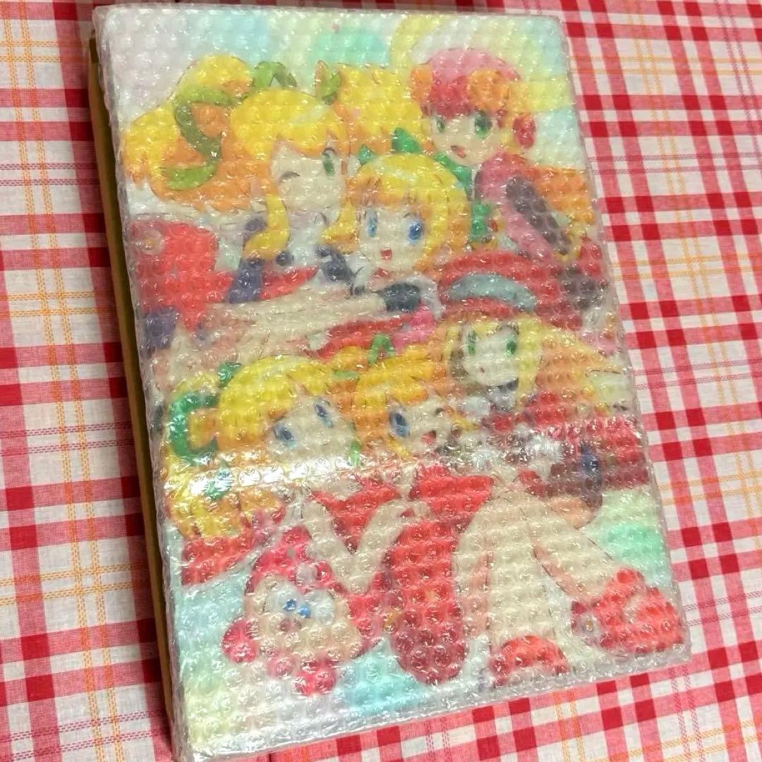 B8 完全受注生産品 ロール ジークレーアクリルアート 30th記念 ロックマン