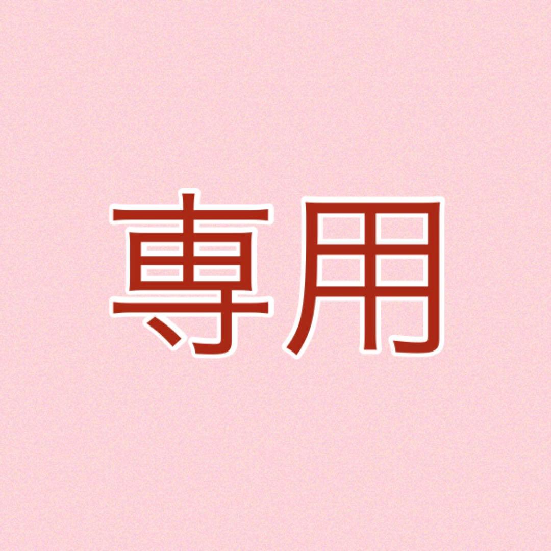 専用ページ