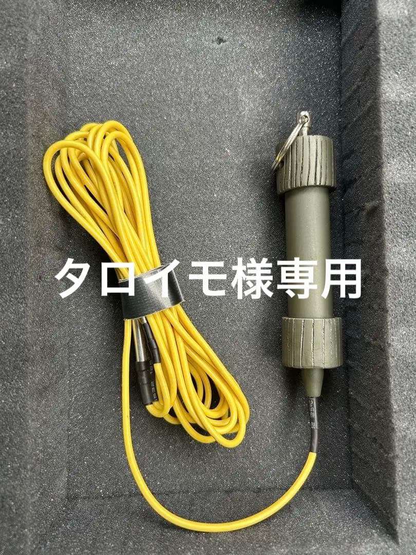 タロイモ出品