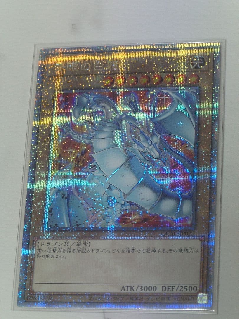 青眼の白龍　新規絵違い　アートコレクション 25th