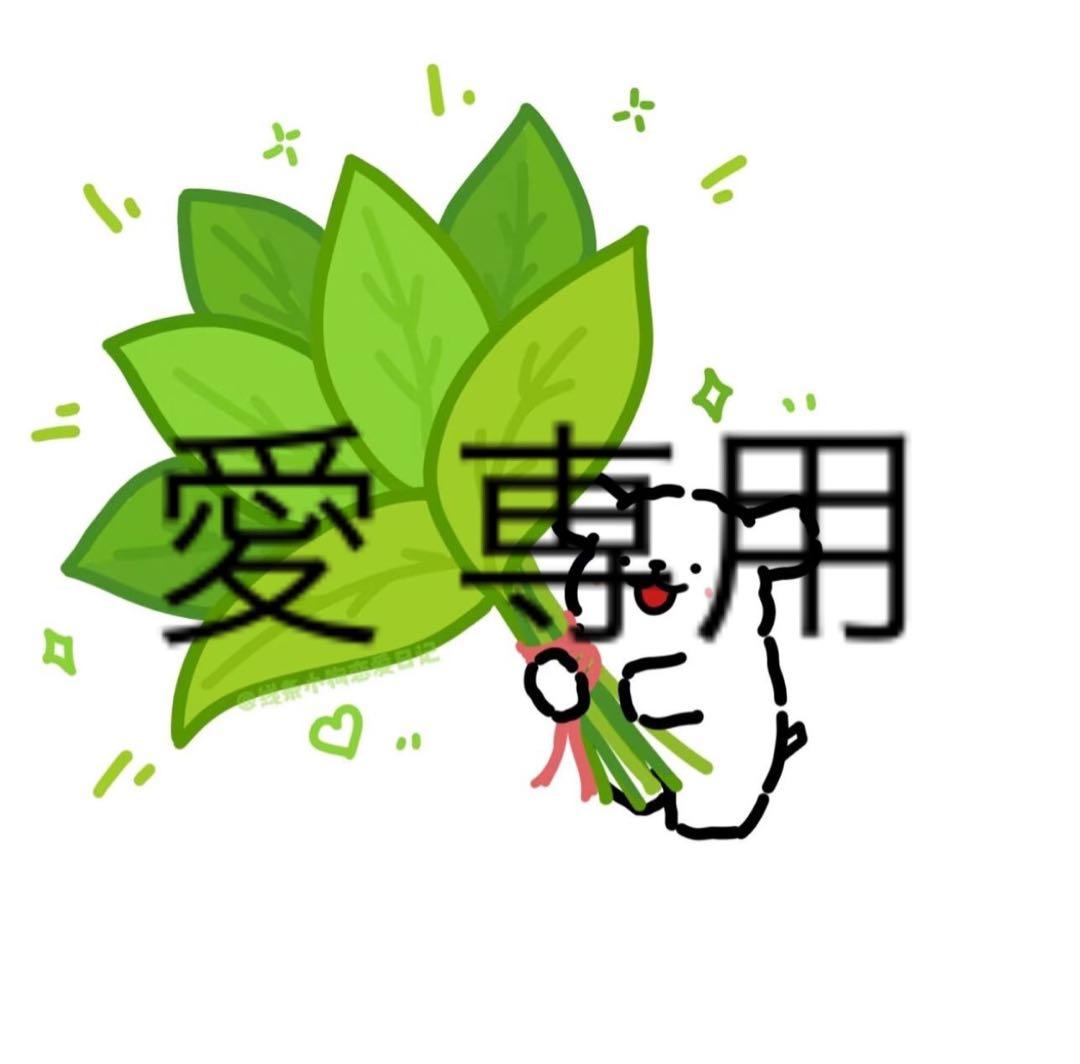 愛 専用