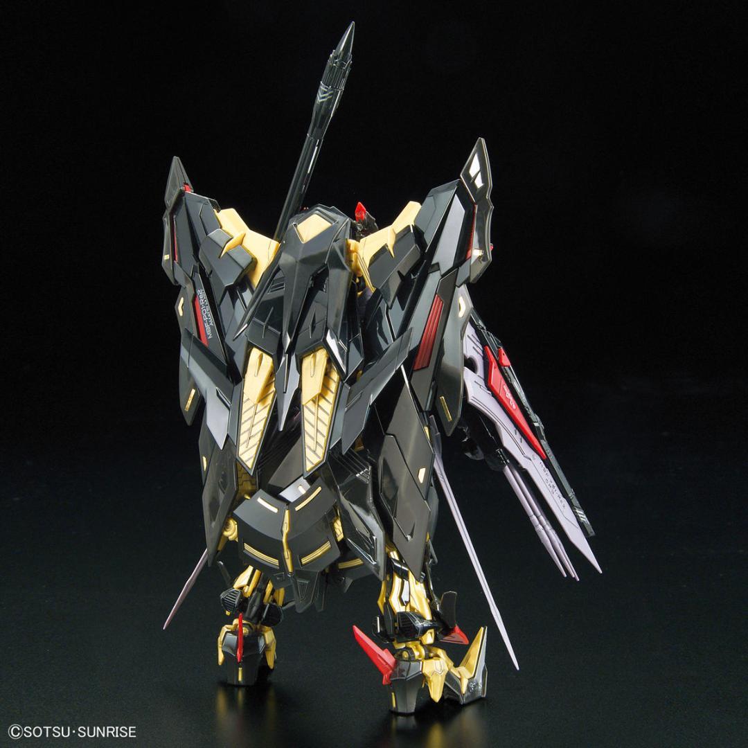 【2品セット】RG アストレイゴールドフレーム天ミナ／フォースインパルスガンダム