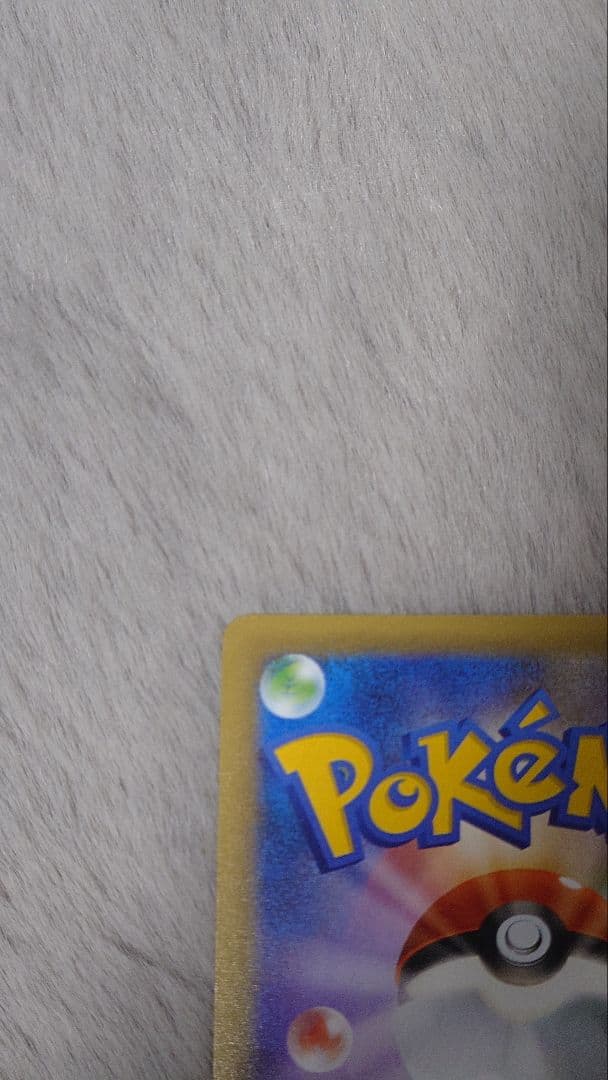 リザードン ガブリアス　25周年