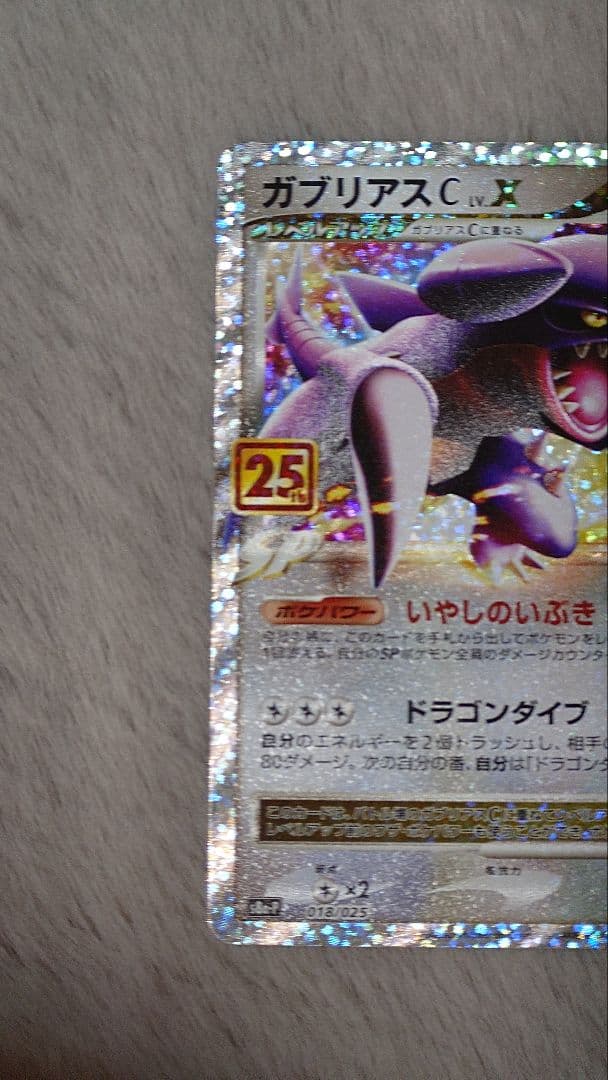 リザードン ガブリアス　25周年