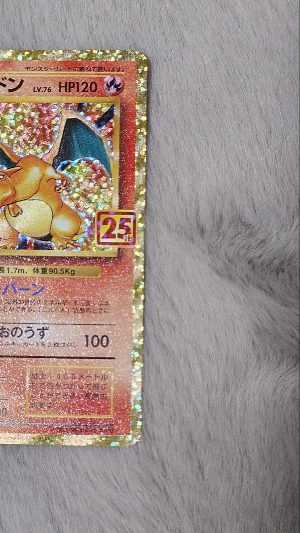 リザードン ガブリアス　25周年