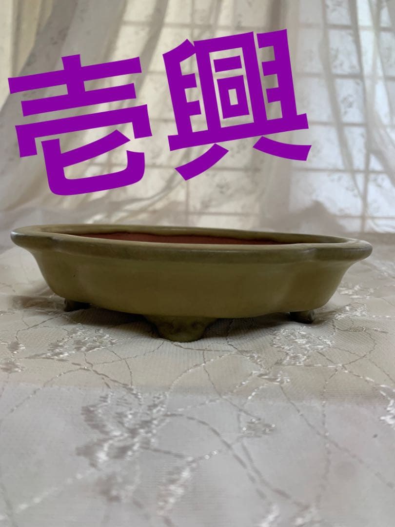 壱興　もっこ　盆栽鉢