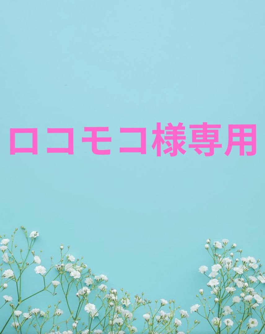 ロコモコ
