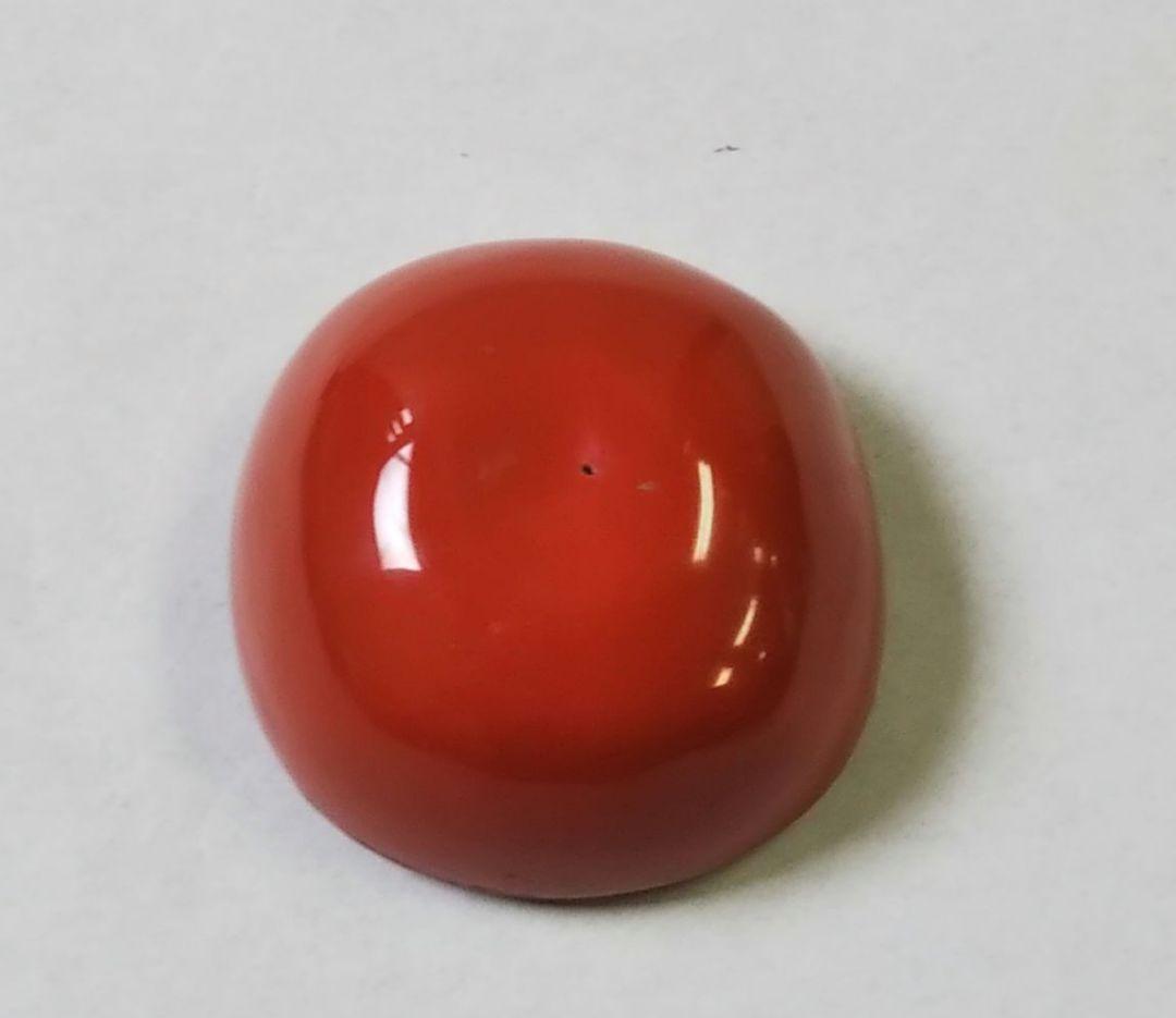 茶道具 香合 柿 畦地多喜翁 新品