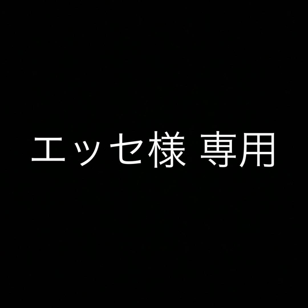 【エッセ様】専用 ジブリ 宮崎駿作品 プラモデル ガレージキット