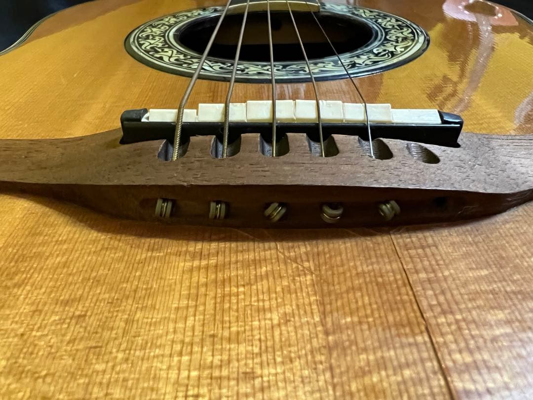 激レアOvation USA 1617 Legend オベーション　ギグバッグ付