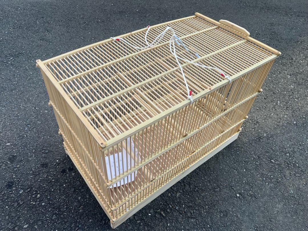 ひかる