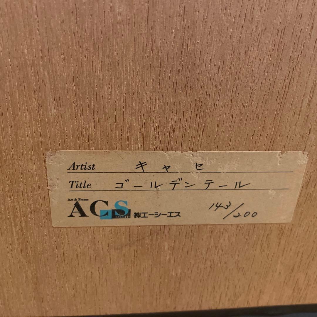 ［美品］アンソニーキャセイ　ゴールデンテール
