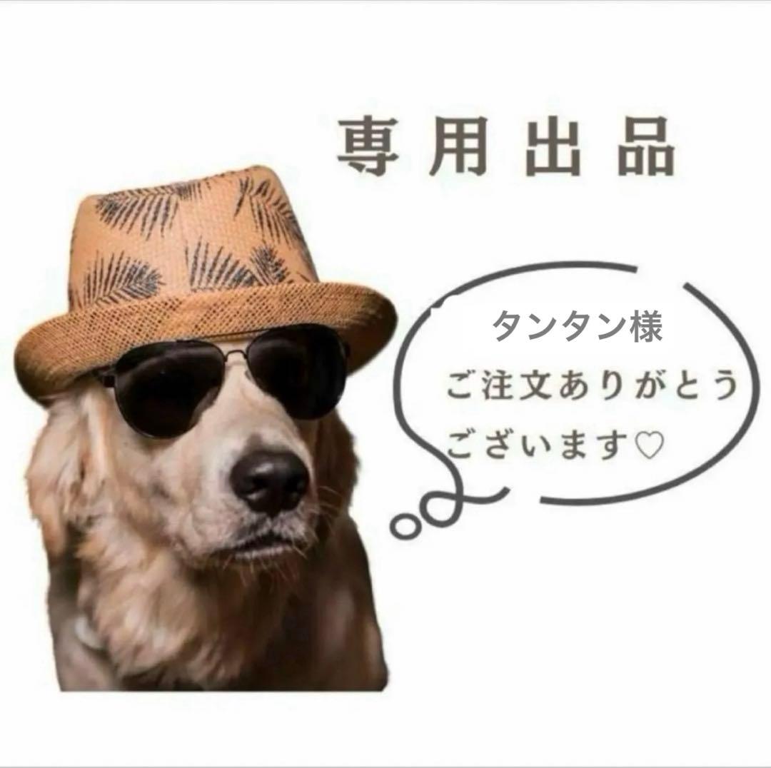タンタン