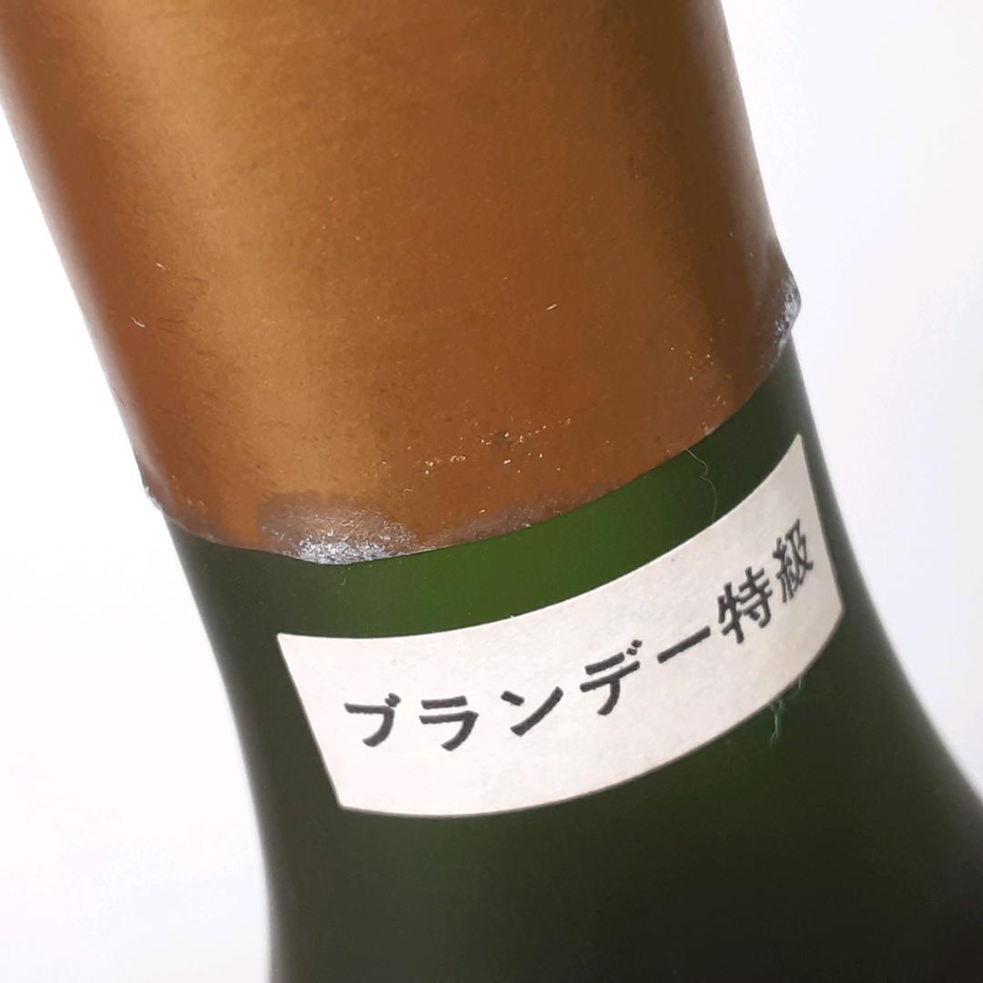 カミュ　ナポレオン　コニャック　2本セット　25-014