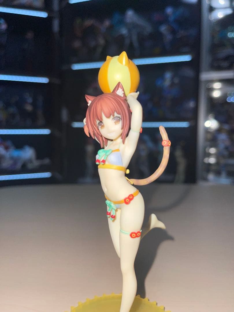 ネコぱら