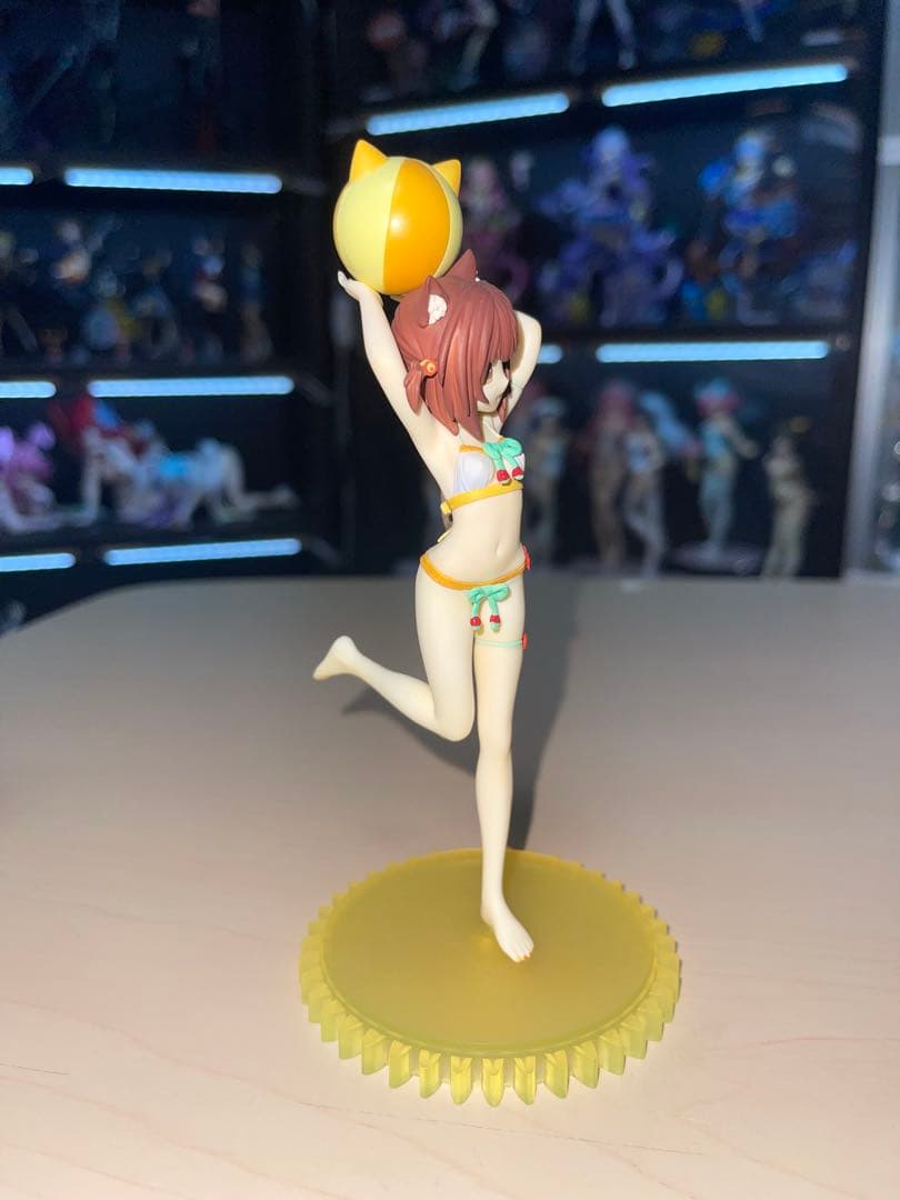 ネコぱら