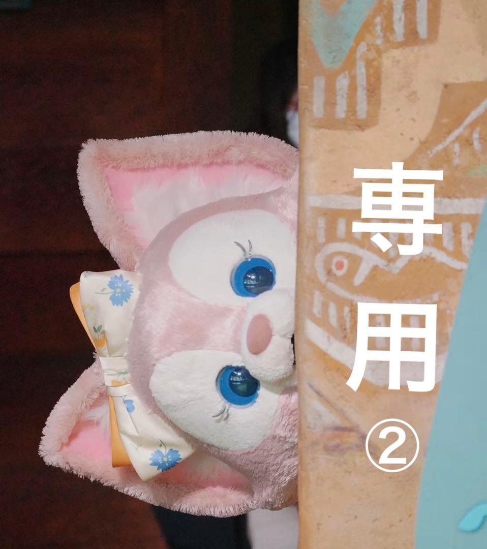 専用ページ②
