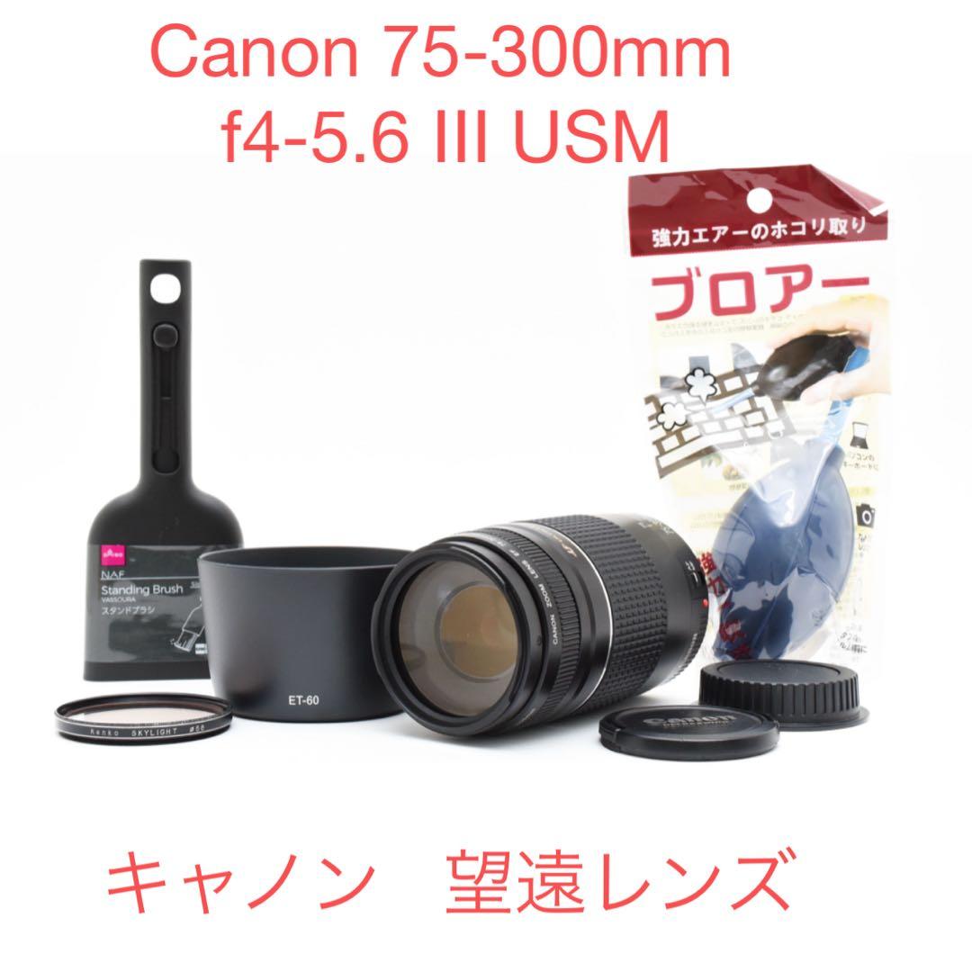 望遠レンズ /デジタル一眼レフカメラ/ Canon EF75-300 Ⅲ USM