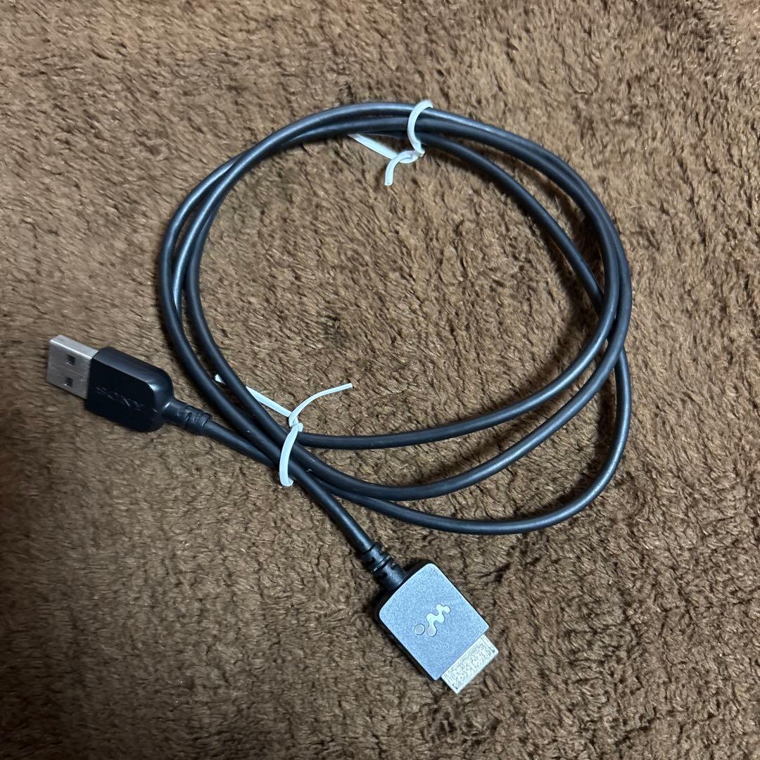 み*ゆ様 SONY NW-WM1A 128GB デジタルオーディオプレーヤー