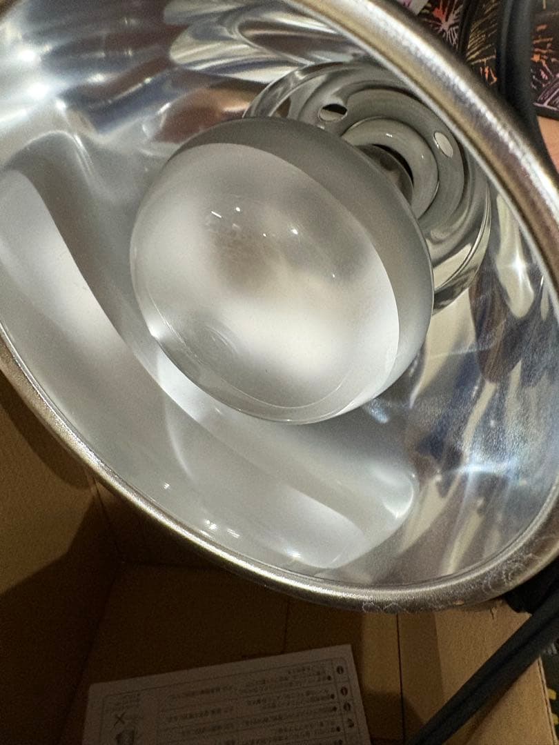 爬虫類用品