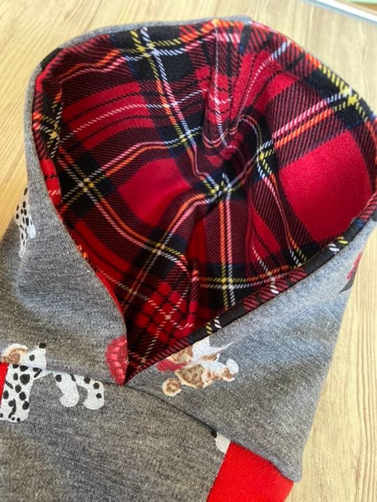 犬服  ラグランフード付き(M)   ꒡̈⃝Lily꒡̈⃝犬服 ハンドメイド