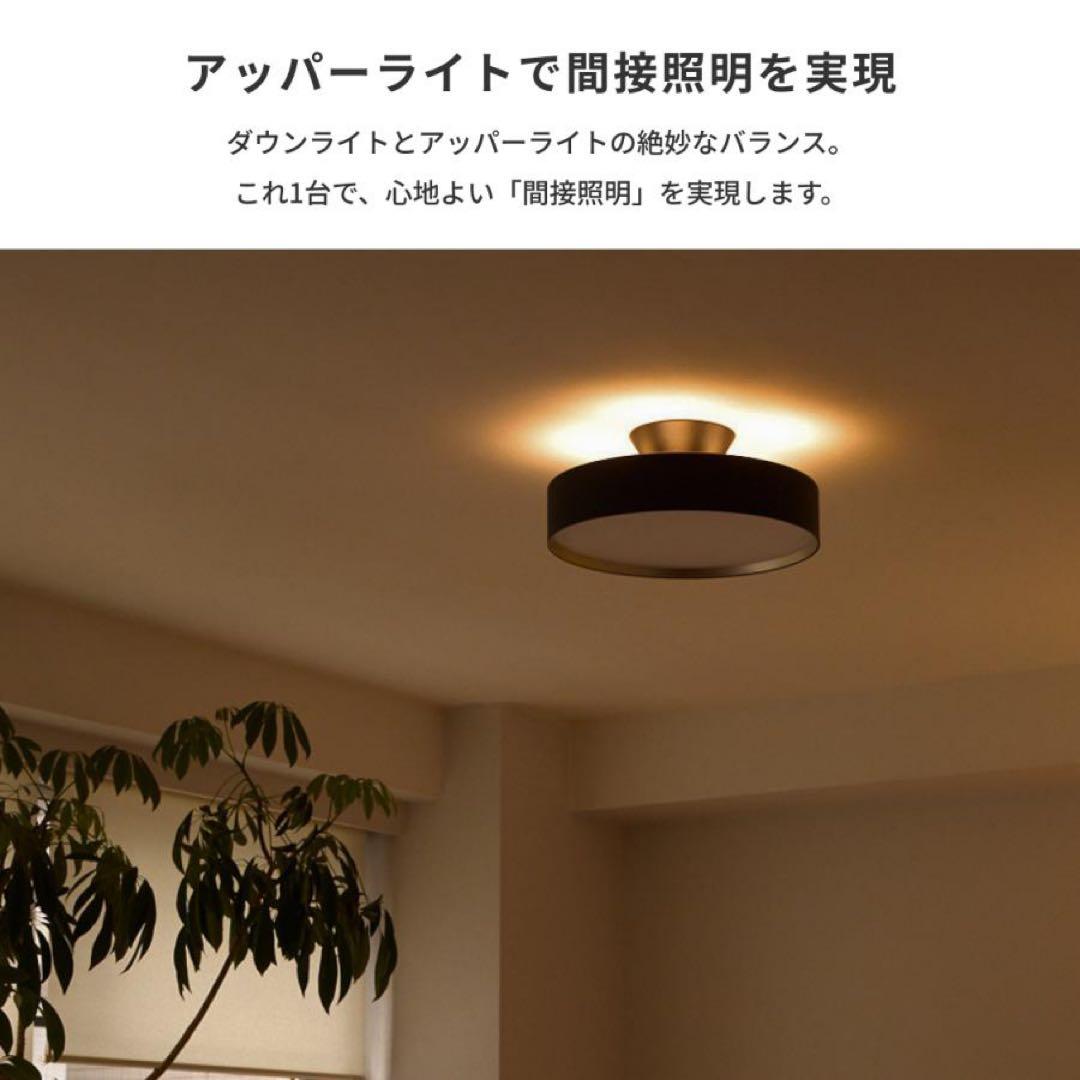 ART WORK STUDIO シーリングライト 黒
