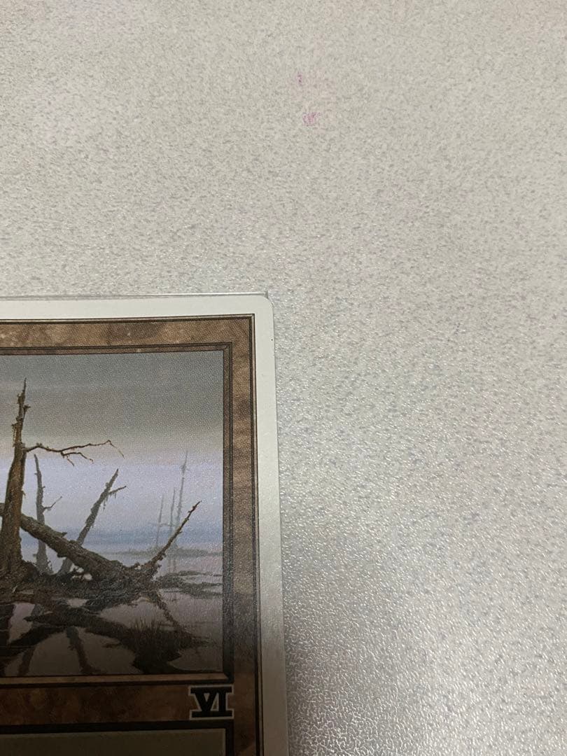 MTG 沼　土地
