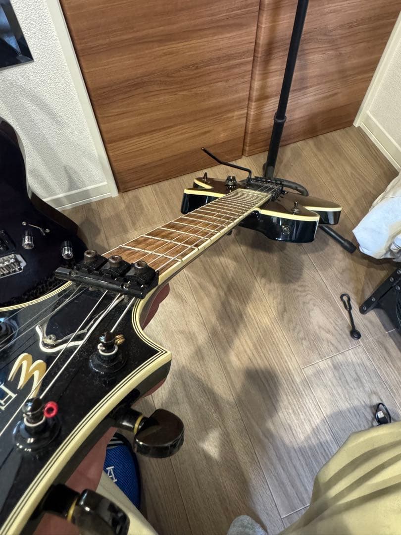 EDWARDS E-CL90 LUNA SEA SUGIZOモデル