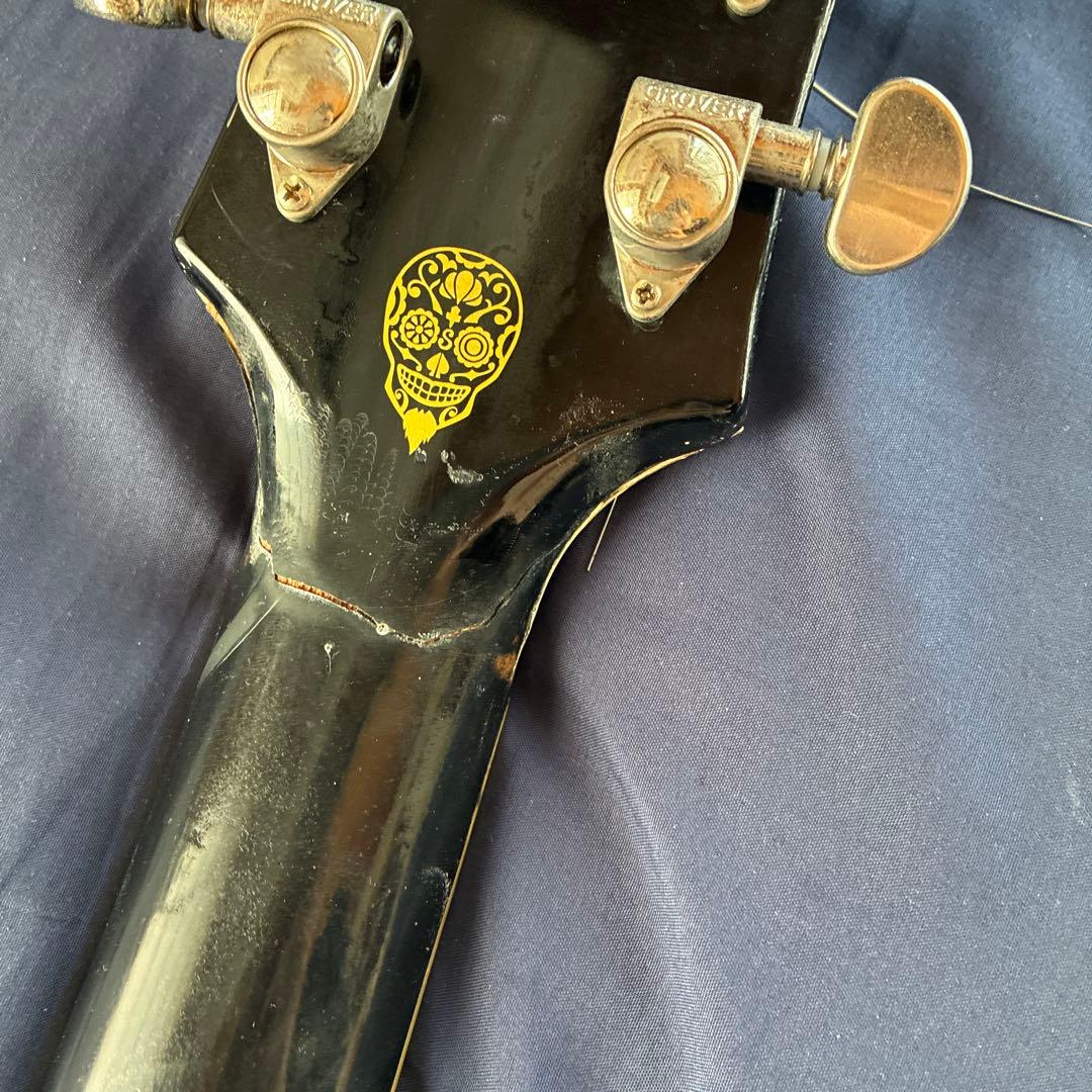 ギター epiphone ES-335 shinichi ubakata