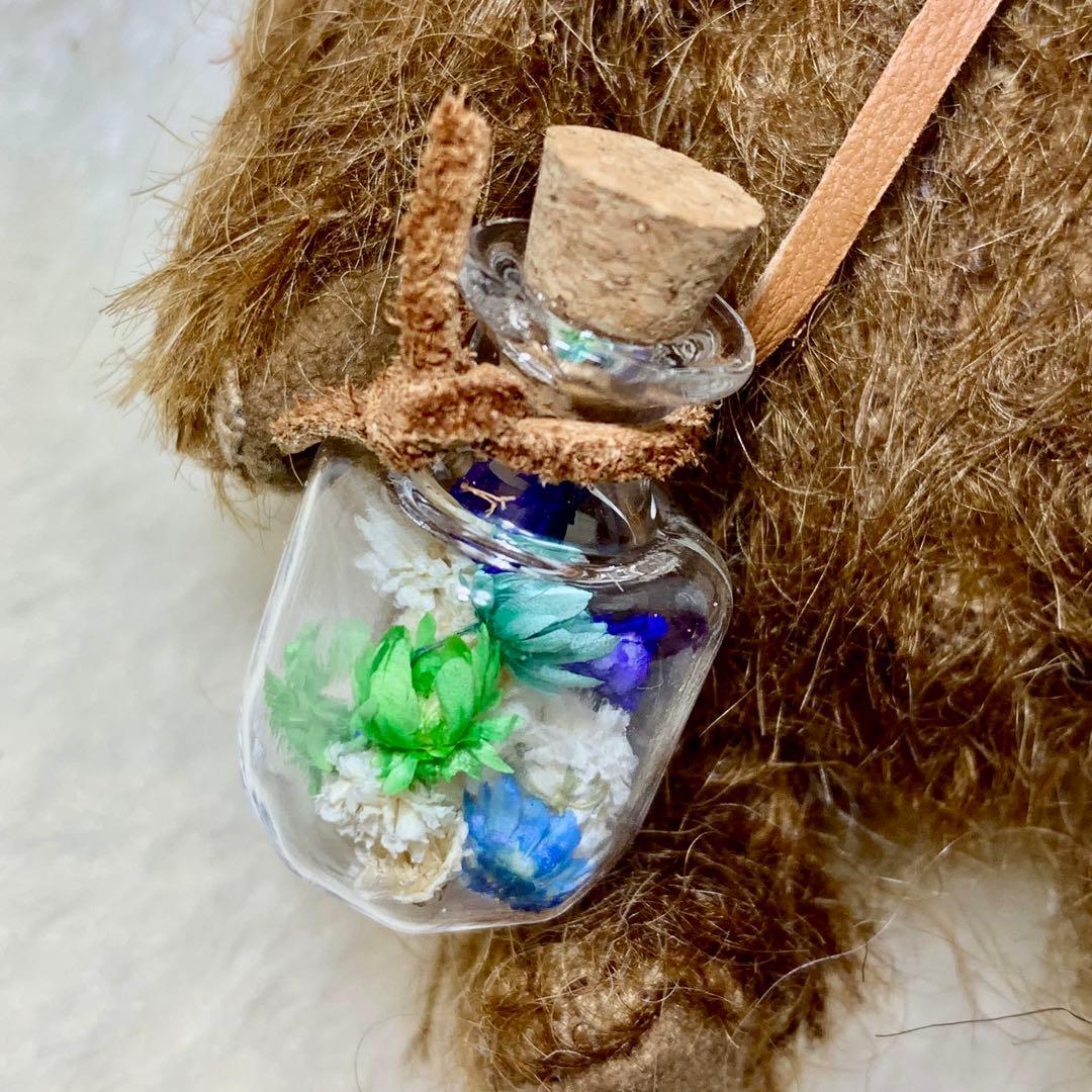 h*i様 テディベア 個性的な子 ブラウンカラー ポンチ目 可愛い