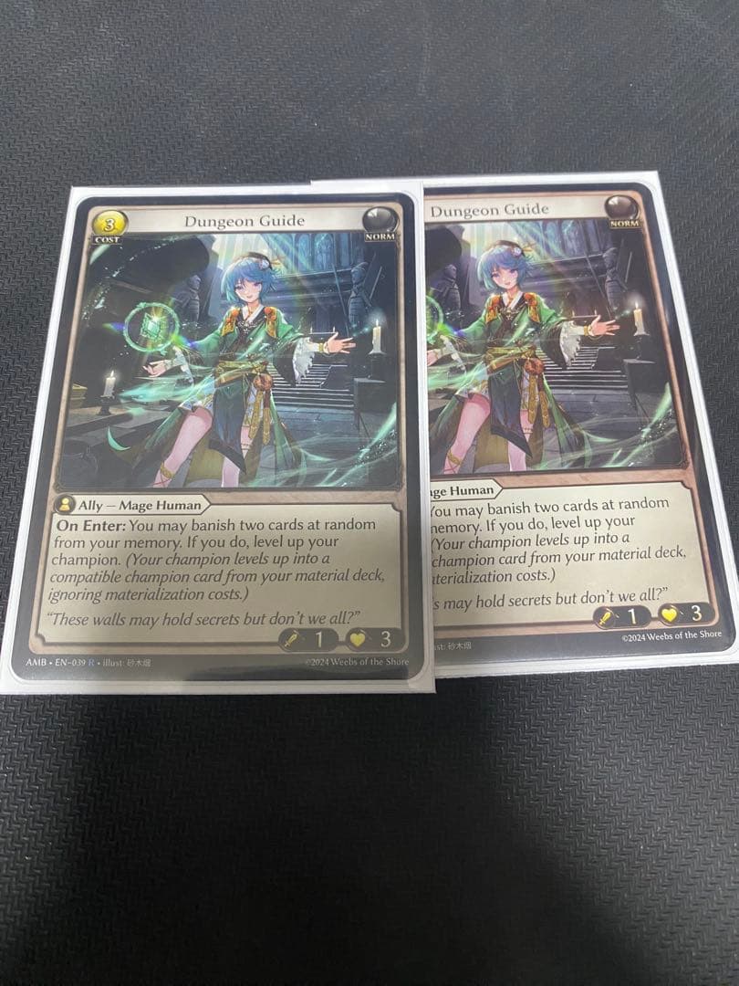 dungeon guide 2枚