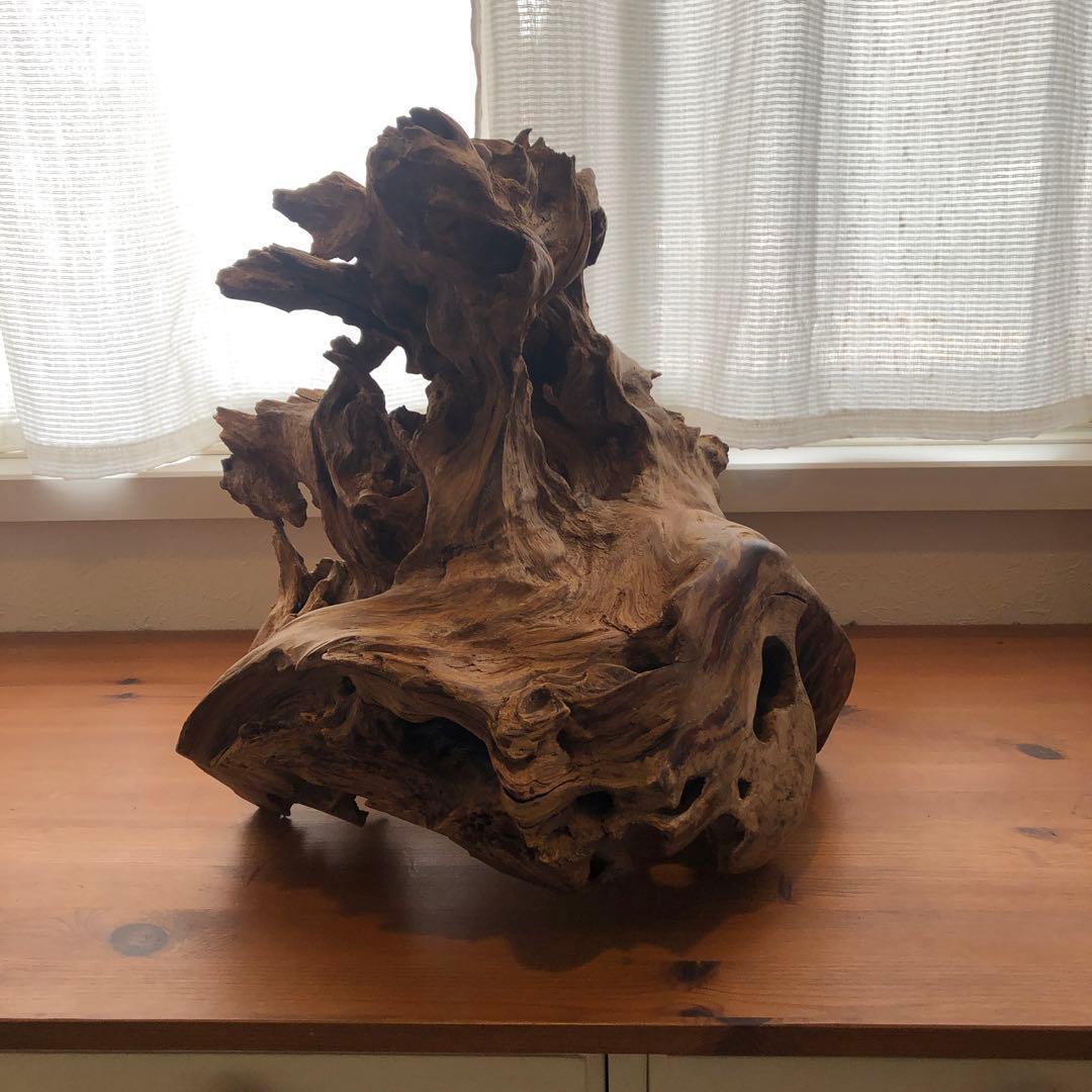 屋久杉置物