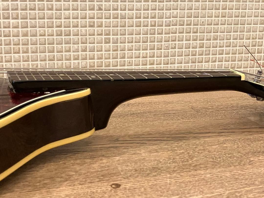 aria エレキマンドリン (Ritter ケース付き)