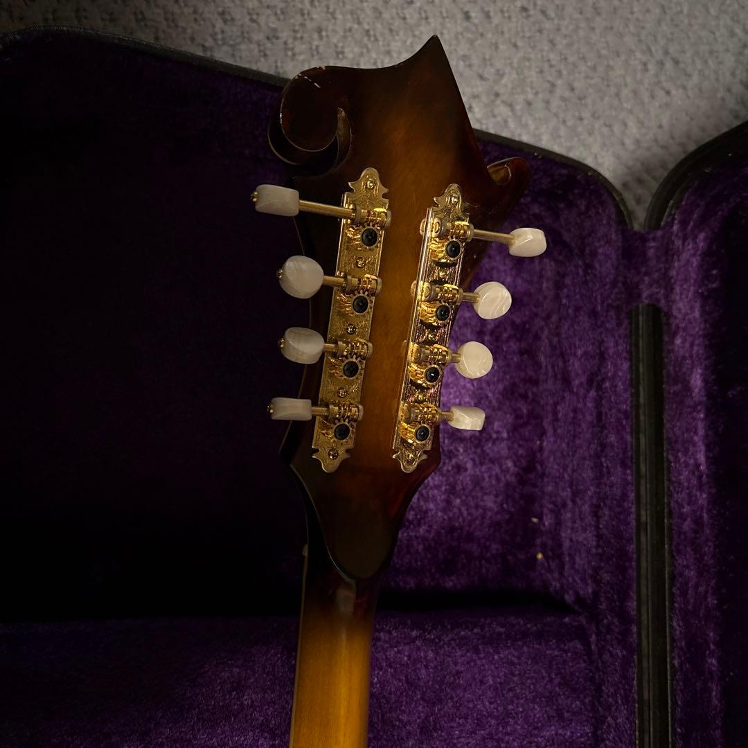 Samick Fタイプ フラットマンドリン ハードケース付き