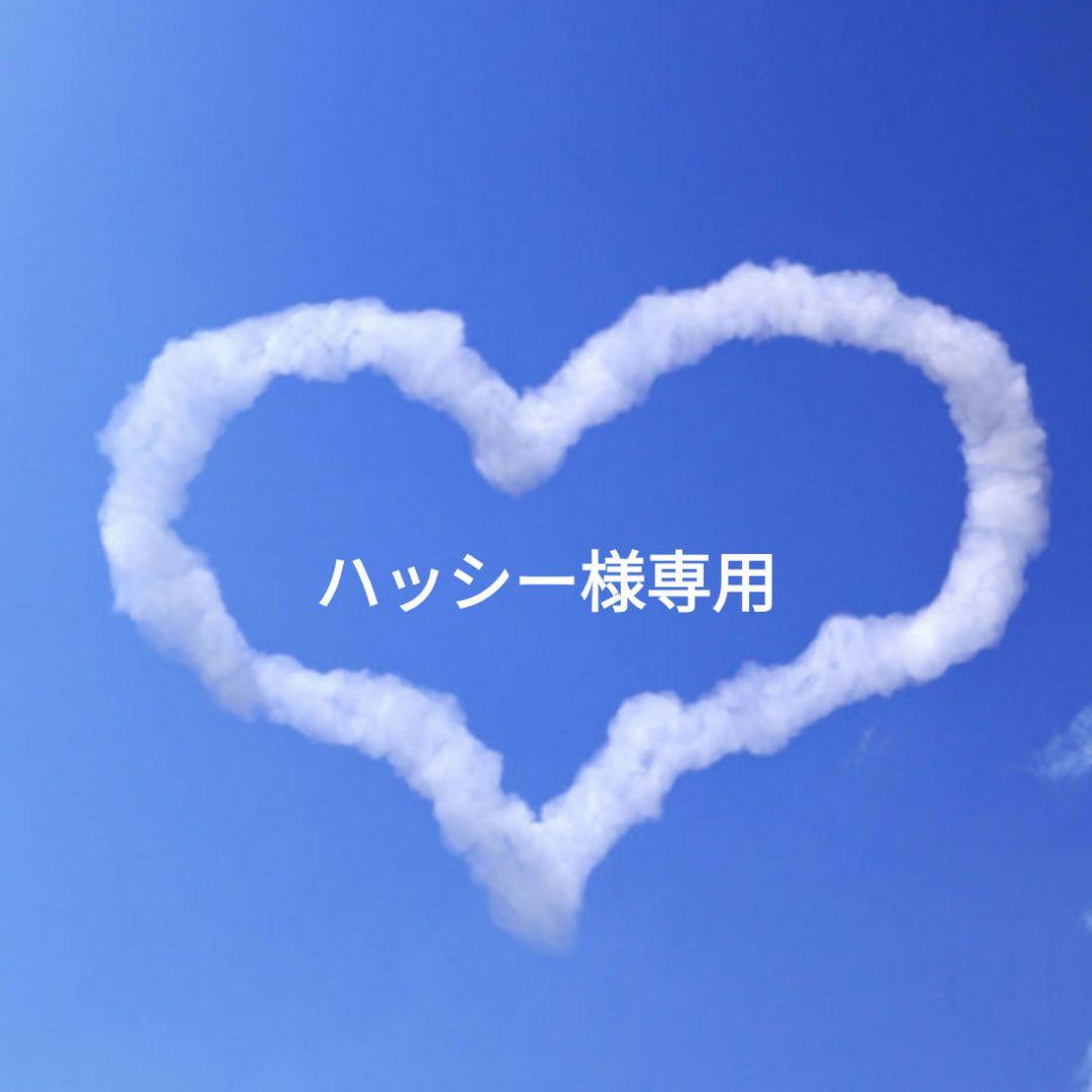 ハッシー