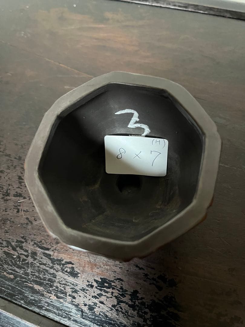 452 盆栽　盆栽鉢　植木鉢　和鉢　美芸
