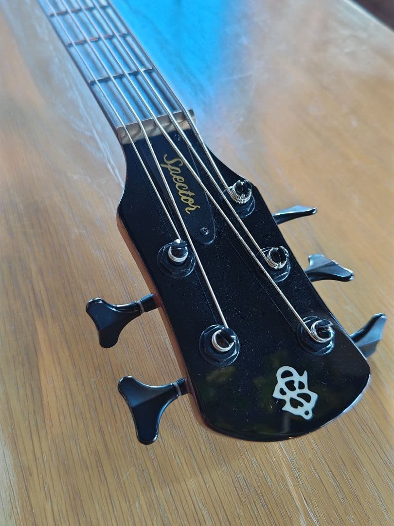 Spector NS ETHOS 5(最終値下げ)