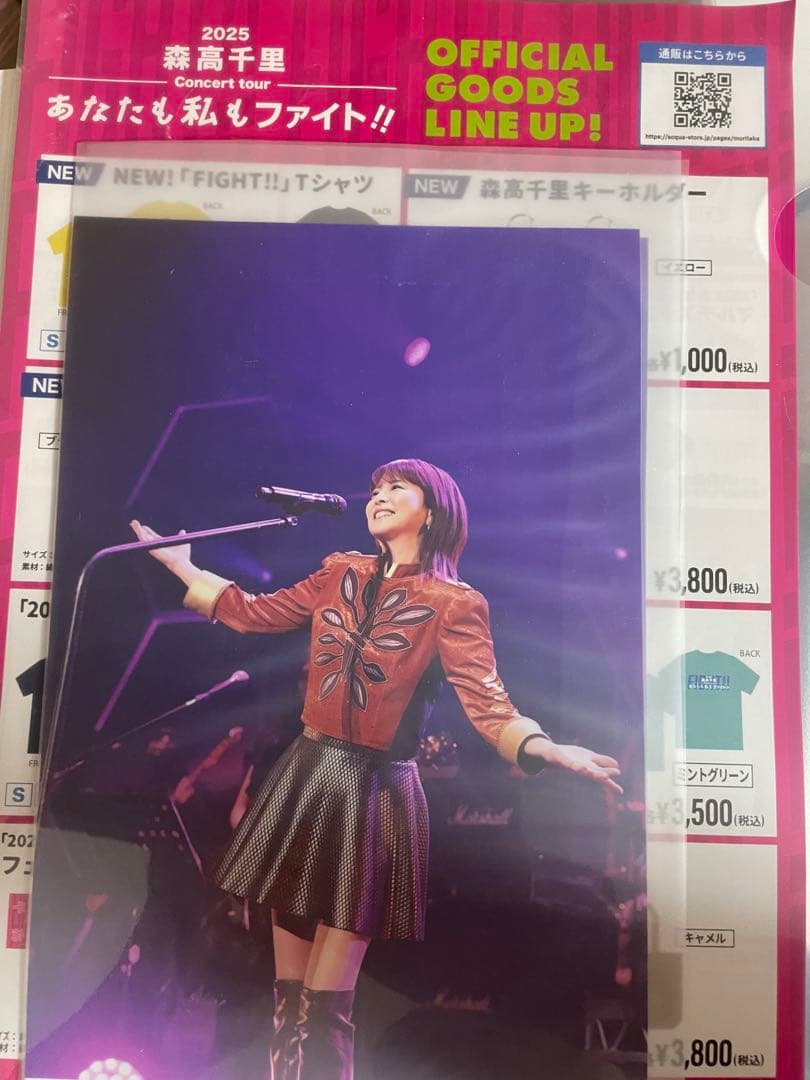 森高千里イラスト額入り新品未開封、会場限定生写真付き